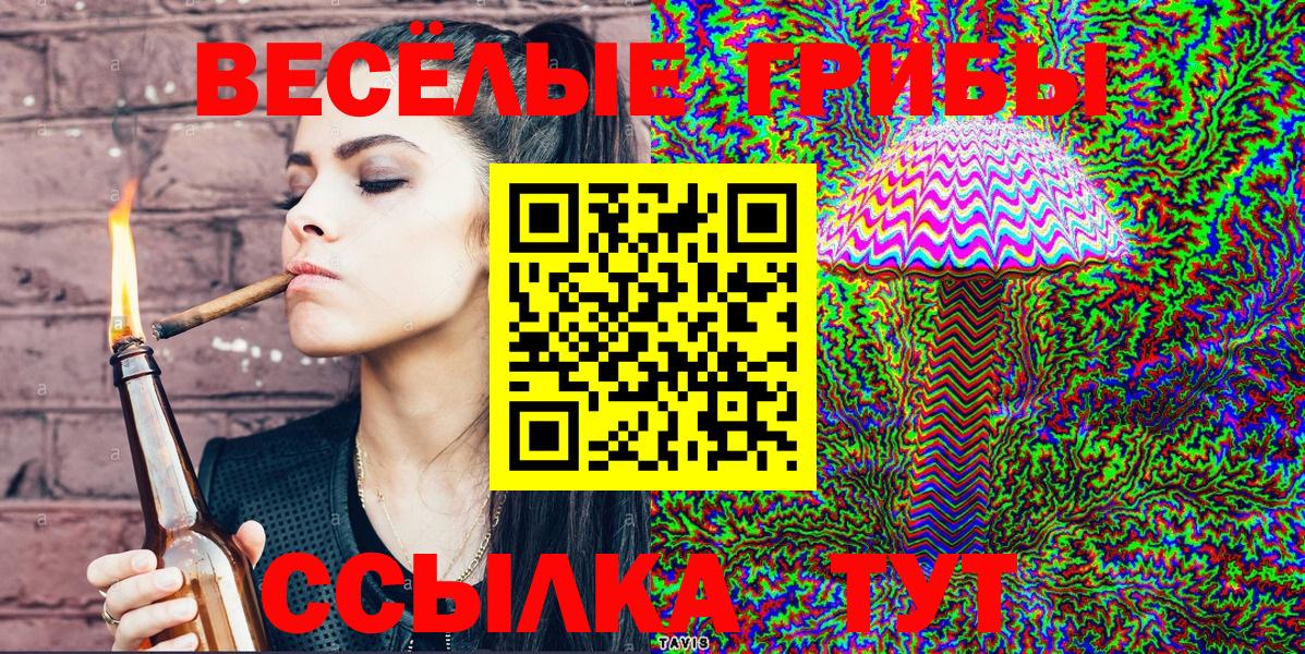 Екатеринбург  Псилоцибиновые грибы MAGIC MUSHROOMS  Вход с VPN 